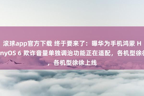 滚球app官方下载 终于要来了:曝华为手机鸿蒙 HarmonyOS 6 欺诈音量单独调治功能正在适配,各机型徐徐上线