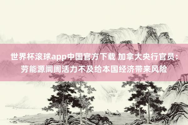 世界杯滚球app中国官方下载 加拿大央行官员:劳能源阛阓活力不及给本国经济带来风险
