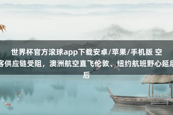 世界杯官方滚球app下载安卓/苹果/手机版 空客供应链受阻,澳洲航空直飞伦敦、纽约航班野心延后