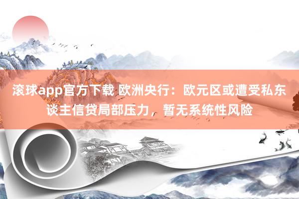 滚球app官方下载 欧洲央行:欧元区或遭受私东谈主信贷局部压力,暂无系统性风险