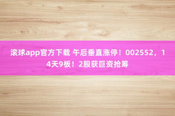 滚球app官方下载 午后垂直涨停！002552，14天9板！2股获巨资抢筹