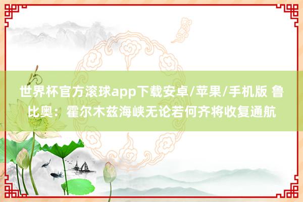 世界杯官方滚球app下载安卓/苹果/手机版 鲁比奥:霍尔木兹海峡无论若何齐将收复通航