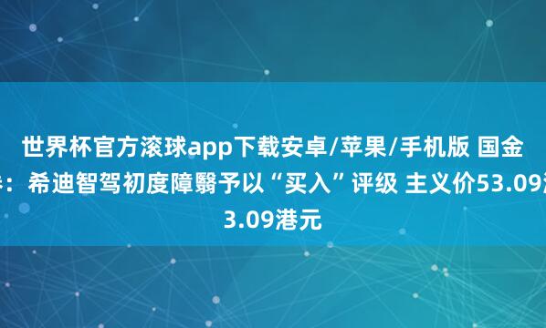 世界杯官方滚球app下载安卓/苹果/手机版 国金证券:希迪智驾初度障翳予以“买入”评级 主义价53.09港元