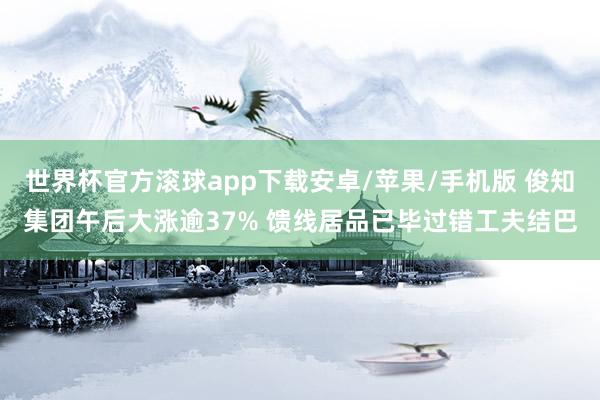 世界杯官方滚球app下载安卓/苹果/手机版 俊知集团午后大涨逾37% 馈线居品已毕过错工夫结巴