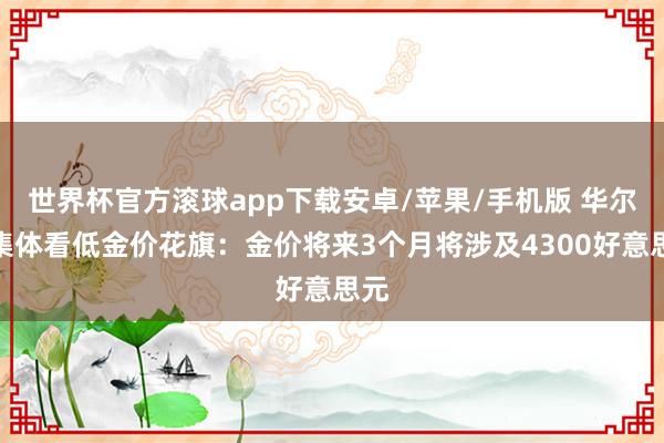 世界杯官方滚球app下载安卓/苹果/手机版 华尔街集体看低金价花旗:金价将来3个月将涉及4300好意思元