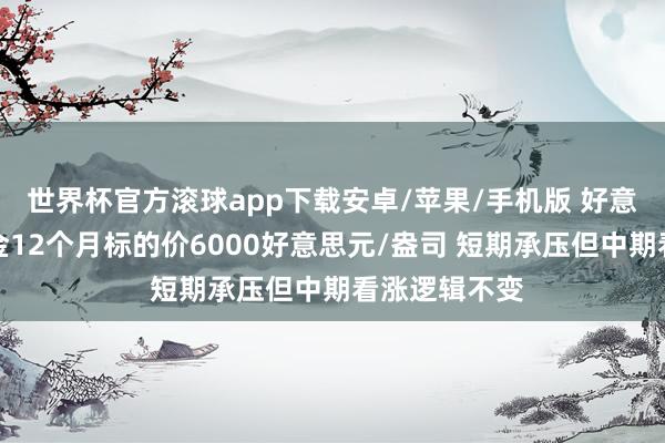 世界杯官方滚球app下载安卓/苹果/手机版 好意思银守护黄金12个月标的价6000好意思元/盎司 短期承压但中期看涨逻辑不变