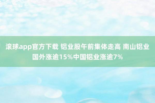 滚球app官方下载 铝业股午前集体走高 南山铝业国外涨逾15%中国铝业涨逾7%