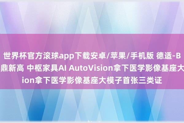 世界杯官方滚球app下载安卓/苹果/手机版 德适-B盘中涨超22%再鼎新高 中枢家具AI AutoVision拿下医学影像基座大模子首张三类证