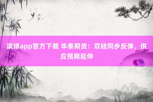 滚球app官方下载 华泰期货:双硅同步反弹,供应预期延伸