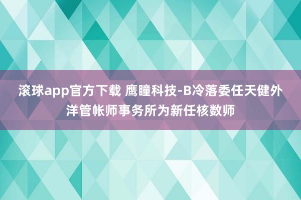滚球app官方下载 鹰瞳科技-B冷落委任天健外洋管帐师事务所为新任核数师