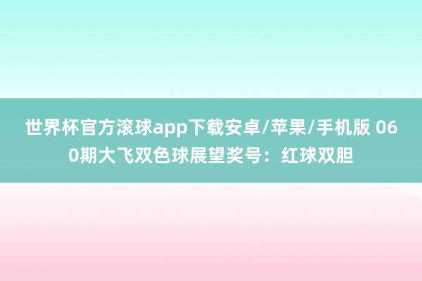 世界杯官方滚球app下载安卓/苹果/手机版 060期大飞双色球展望奖号:红球双胆