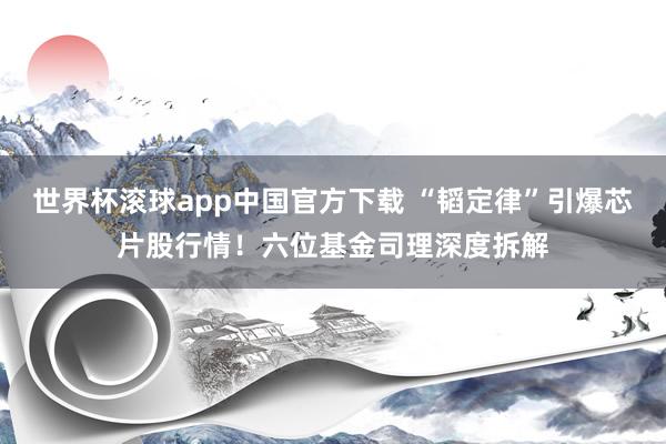 世界杯滚球app中国官方下载 “韬定律”引爆芯片股行情!六位基金司理深度拆解