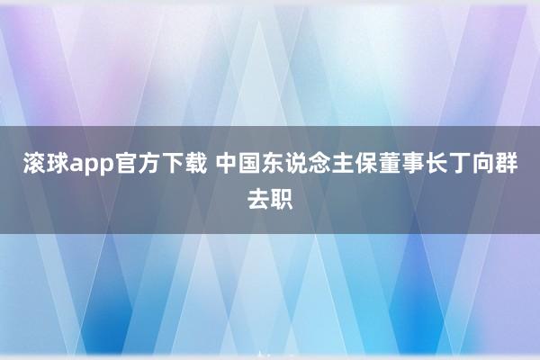 滚球app官方下载 中国东说念主保董事长丁向群去职