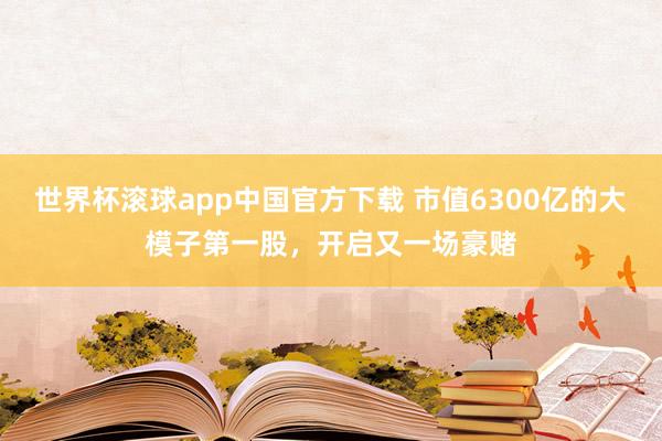 世界杯滚球app中国官方下载 市值6300亿的大模子第一股,开启又一场豪赌