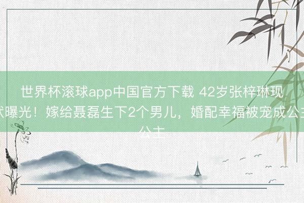 世界杯滚球app中国官方下载 42岁张梓琳现状曝光!嫁给聂磊生下2个男儿,婚配幸福被宠成公主