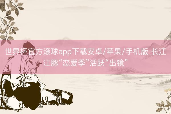 世界杯官方滚球app下载安卓/苹果/手机版 长江江豚“恋爱季”活跃“出镜”