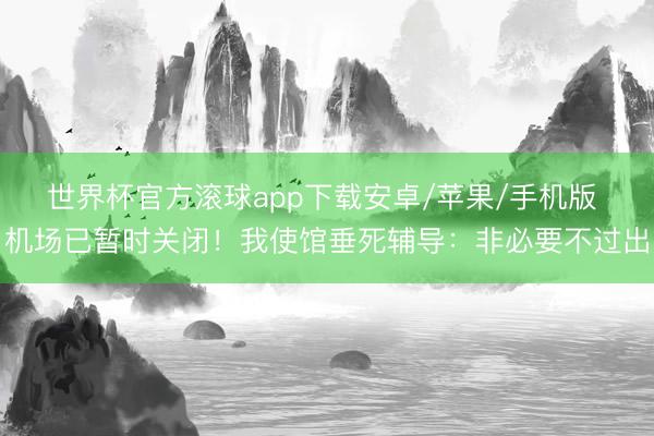 世界杯官方滚球app下载安卓/苹果/手机版 机场已暂时关闭!我使馆垂死辅导:非必要不过出