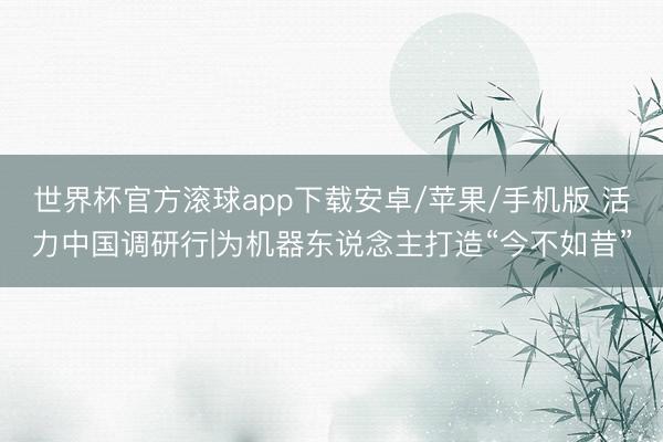 世界杯官方滚球app下载安卓/苹果/手机版 活力中国调研行|为机器东说念主打造“今不如昔”